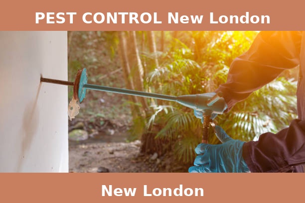 PEST CONTROL New London